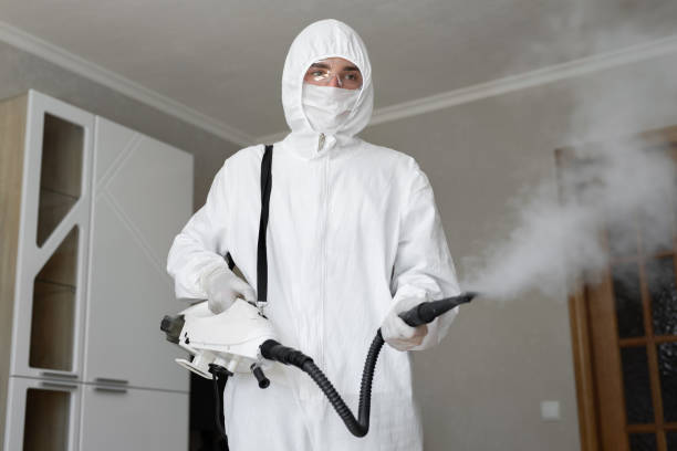 Mold Remediation for Vacation Homes in Fernandina Beach, FL